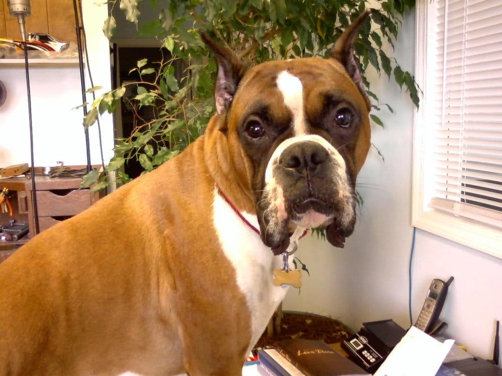 GRIFFIN JEWELERS INC Updated July 2024 1424 N Expy, Griffin