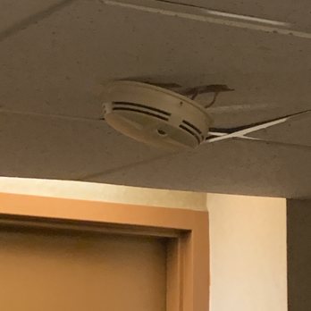 Pocono Resort Conference Center - Fire alarms falling off in the hallway - Resorts Near Me - Lake Harmony, Pennsylvania