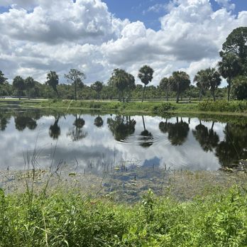 John S Taylor Park - Lake - Parks Near Me - Largo, Florida