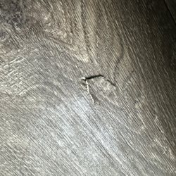 Furniture and Beyond - Jonesboro - FLOOR DAMAGE