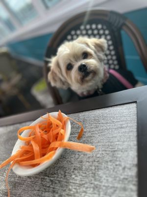 Abalonetti Bar and Grill by null