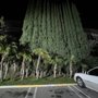 Photo of Rose Bowl Motel