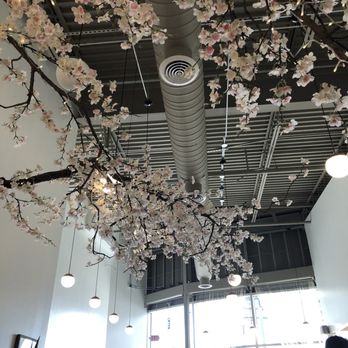 Whipped Bakery & Cafe - Coffee area lounge.ceiling - Bakeries Near Me - Leander, Texas Whipped Bakery & Cafe - Coffee area lounge.ceiling - Bakeries Near Me - Leander, Texas