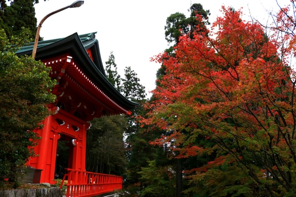 Enryaku-ji Temple by null