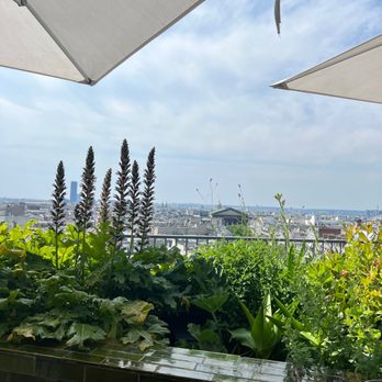 Perruche - view - French Near Me - Paris, 75 Perruche - view - French Near Me - Paris, 75