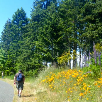 North Olympic Discovery Marathon - Along the trail - Races & Competitions Near Me North Olympic Discovery Marathon - Along the trail - Races & Competitions Near Me