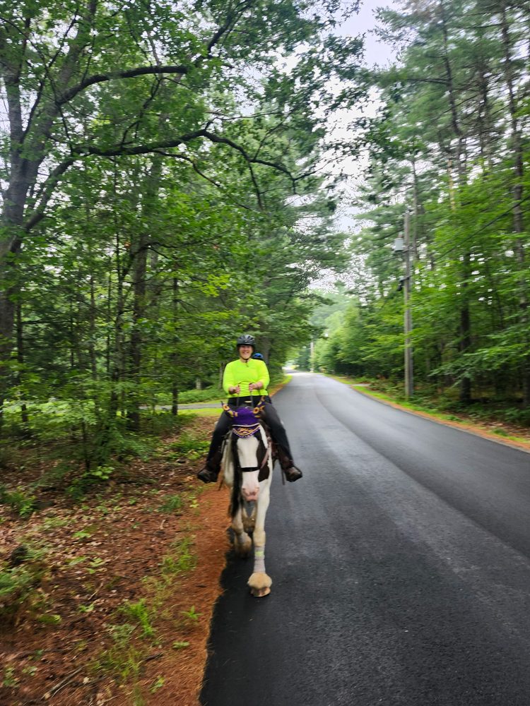 Chase Farms - equestrian in Hollis, NH