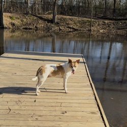 Olive Branch City Park