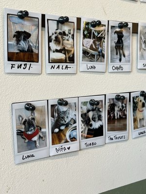 Magdalena Coffee & Houseplants by null