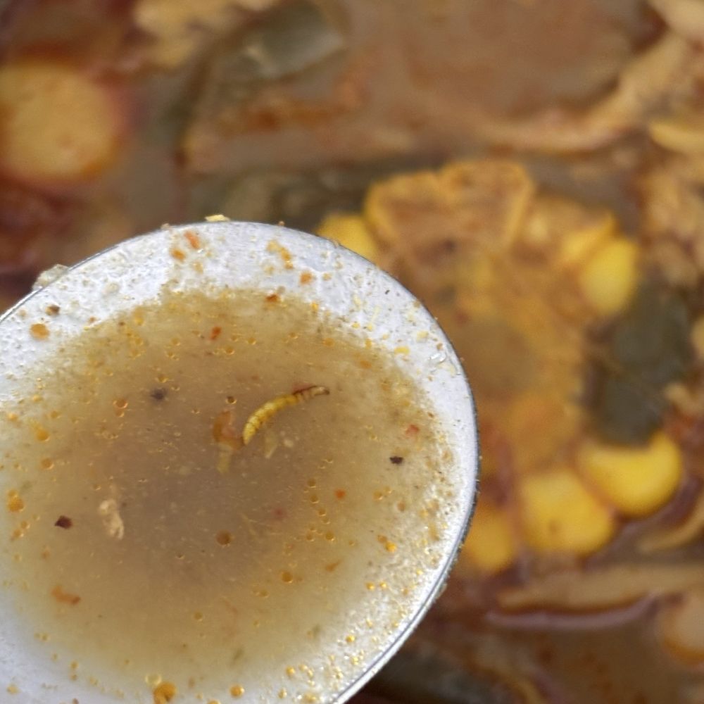 Boiling Point - Maggot? - Hot Pot Near Me - Fremont, California Boiling Point - Maggot? - Hot Pot Near Me - Fremont, California