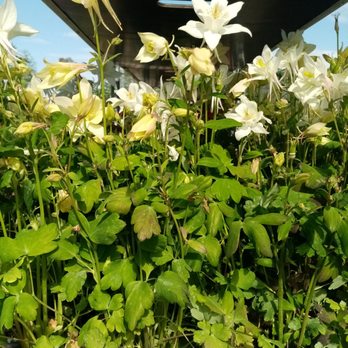 Gartencenter - Florists Near Me - Hamburg, HH