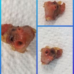 whatever this is I sure dont think it belonged in my food! absolutely disgusting
