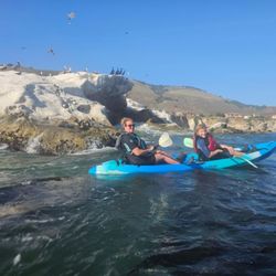 Pismo Beach Surf Shop - Can you find the seals in this photo?