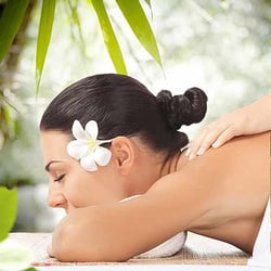 Massage Bug