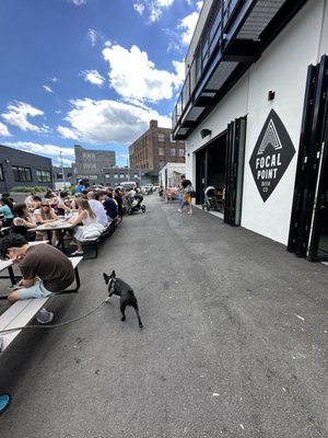 Focal Point Beer Co by null