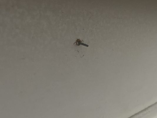 Kent Moore Cabinets - San Antonio