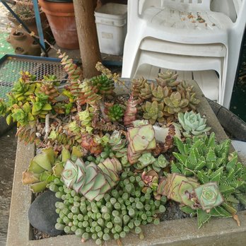 Alpine Garden and Gifts - Antiques Near Me - Alpine, California