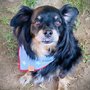 Photo of Splash Hound USA Midtown Sacramento