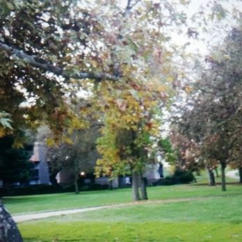 Shore Park - Parks Near Me - Sacramento, California Shore Park - Parks Near Me - Sacramento, California
