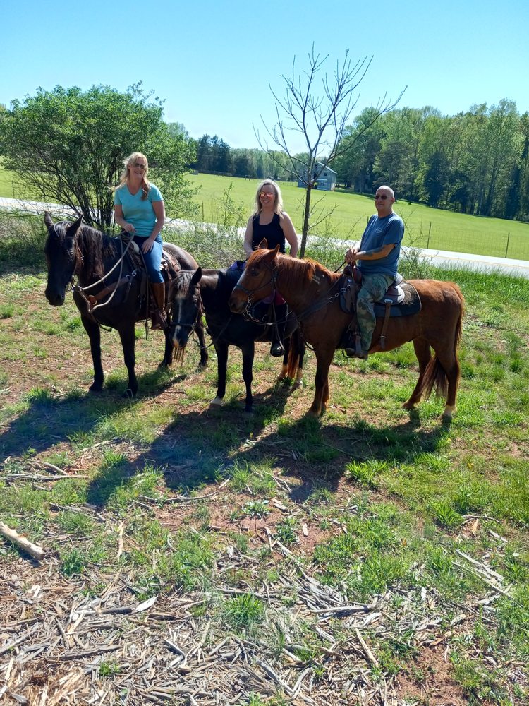 Upstate Trail Rides - equestrian in Greenville, SC