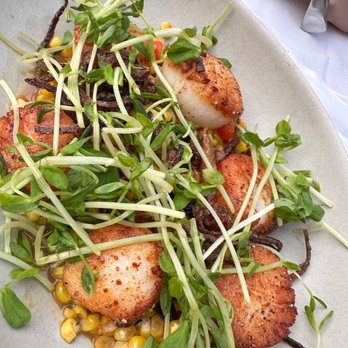 American Beech - Scallops - Hotels Near Me - Greenport, New York