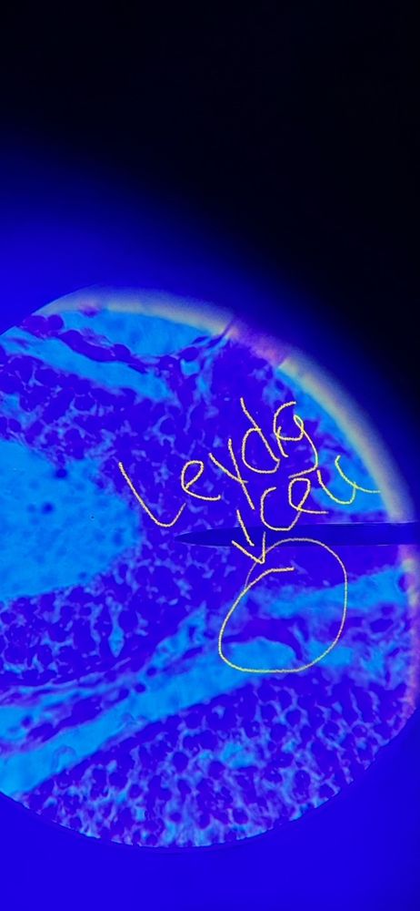 Tiffany's Affordable Childcare - childcare center in Greeley, CO