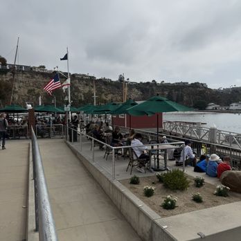 Coffee Importers - Lots of seating over looking the harbor. - Coffee & Tea Near Me - Dana Point, California Coffee Importers - Lots of seating over looking the harbor. - Coffee & Tea Near Me - Dana Point, California