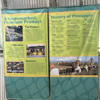 Maui Pineapple Tour - Tours Near Me - Makawao, Hawaii