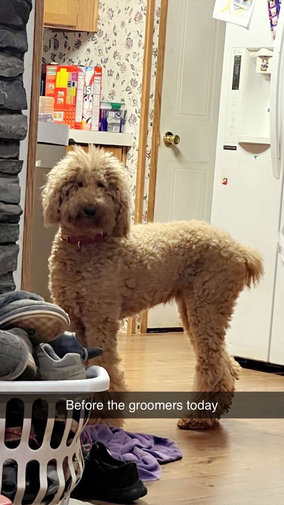 AC Grooming Salon Image