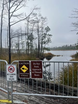 Alligator River National Wildlife Refuge by null