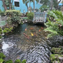 The Fish Hole - Fish Pond in the Middle of course