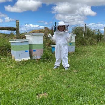 Maui Bees - Attraction Farms Near Me - Kula, Hawaii