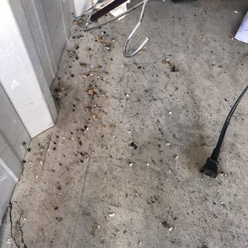 Antelope - This is a small corner of my storage everything was ruined by RATS - Self Storage Near Me - Sacramento, California Antelope - This is a small corner of my storage everything was ruined by RATS - Self Storage Near Me - Sacramento, California