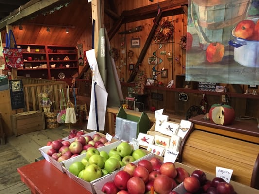 Carver Hill Orchard by null
