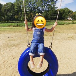 Lineberger's Maple Springs Strawberries - Rotating Tire Swing