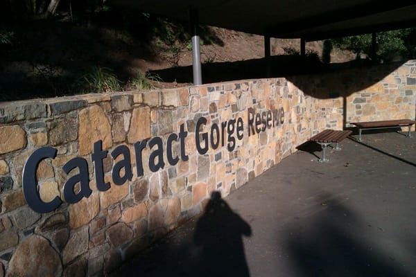 Cataract Gorge Reserve by null