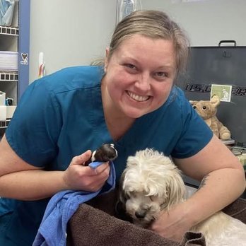 Jacaranda Animal Hospital - Last pup delivered.  thanks so much for your help Erica. - Veterinarians Near Me - Venice, Florida
