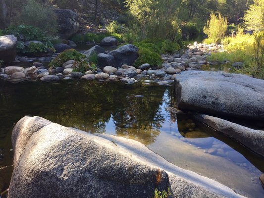 Camp Wawona by null