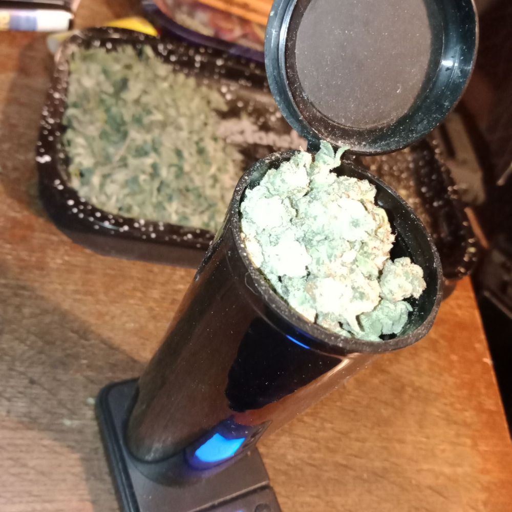 Cloud Cannabis Utica Dispensary - Only a 20.1 g ounce after separating the buds from the leaf trim and stems - Cannabis Dispensaries Near Me - Utica, Michigan