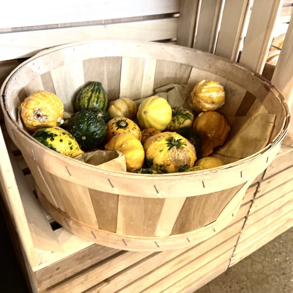 Mother Earth's Storehouse - Fall Is Here - Health Markets Near Me - Kingston, New York Mother Earth's Storehouse - Fall Is Here - Health Markets Near Me - Kingston, New York