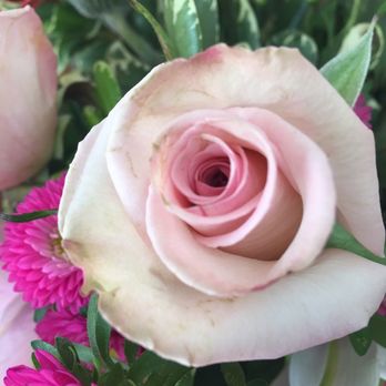 Bennett Floral - Not cute :( - Florists Near Me - Galveston, Texas Bennett Floral - Not cute :( - Florists Near Me - Galveston, Texas