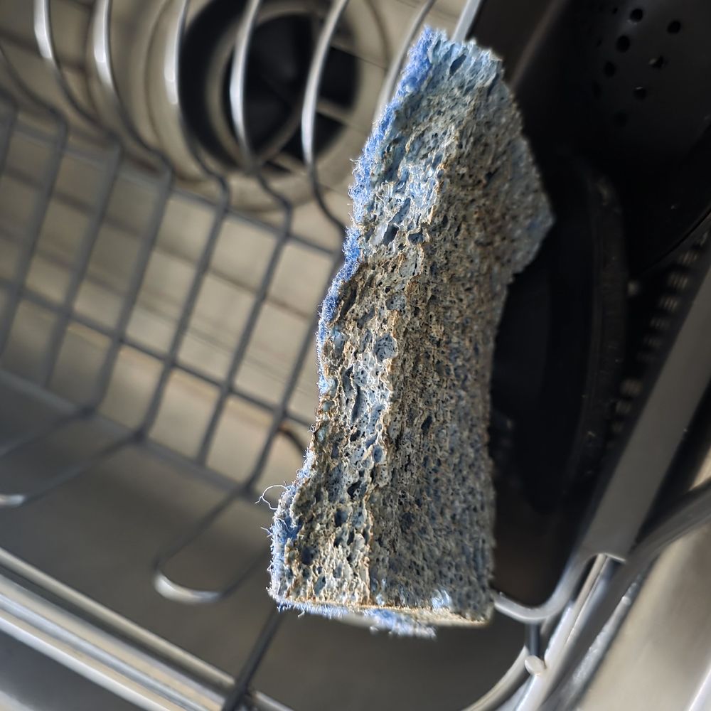 Kompulsive Kleaners - Left dirty kitchen sponge for the next guest - Home Cleaning Near Me - Greenville, South Carolina