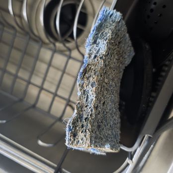 Kompulsive Kleaners - Left dirty kitchen sponge for the next guest - Home Cleaning Near Me - Greenville, South Carolina Kompulsive Kleaners - Left dirty kitchen sponge for the next guest - Home Cleaning Near Me - Greenville, South Carolina