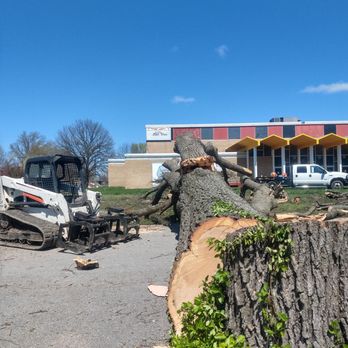 Aaron's Tree Service - Tree Services Near Me - Carbondale, Illinois Aaron's Tree Service - Tree Services Near Me - Carbondale, Illinois