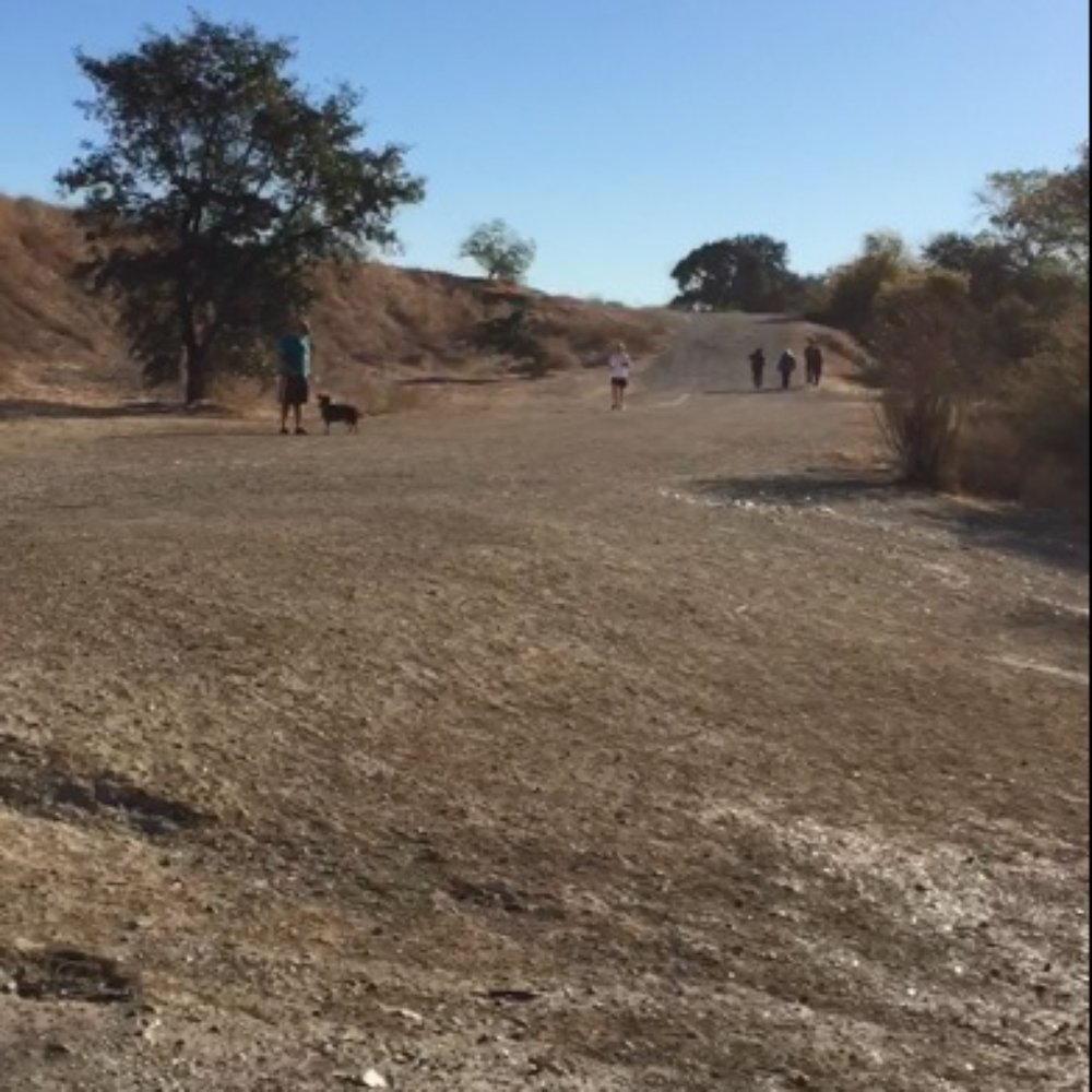 Shadow Cliffs Regional Recreation Area - Parks Near Me - Pleasanton, California Shadow Cliffs Regional Recreation Area - Parks Near Me - Pleasanton, California