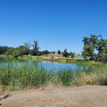 Oka Ponds - Camden ponds - Lakes Near Me - Los Gatos, California