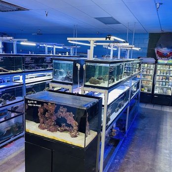 Pet Kingdom - Local Fish Stores Near Me - San Diego, California Pet Kingdom - Local Fish Stores Near Me - San Diego, California