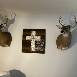 Johnson's Taxidermy