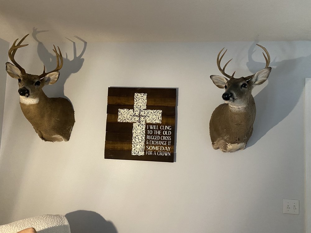 Johnson's Taxidermy - taxidermy in Gallatin, TN