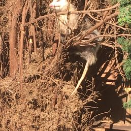 The little guy wouldn't go away, he was just chillin in the bright hot sun while we stared at it.